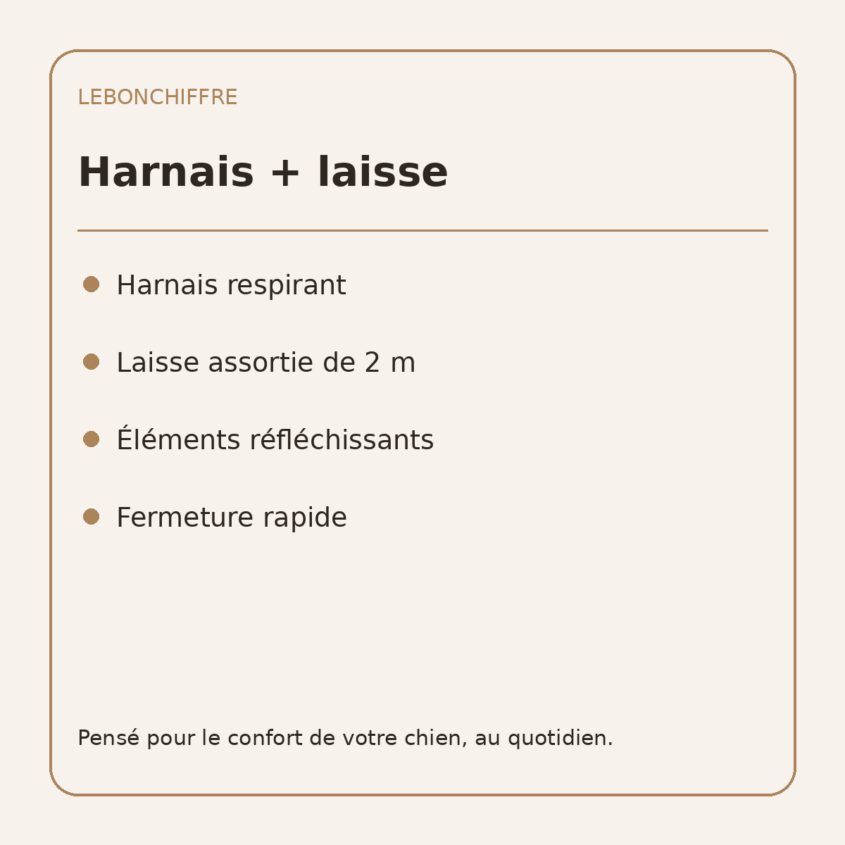 Ensemble harnais et laisse pour chien - caractéristiques en français